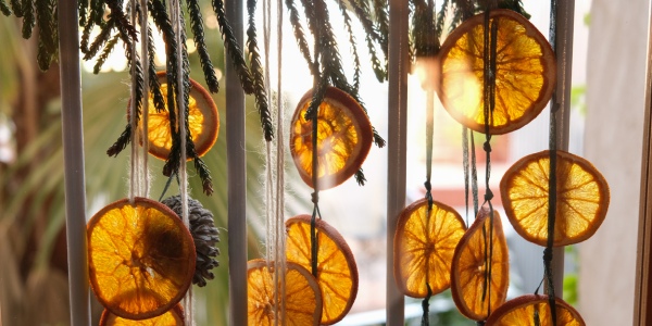 CITRUS-GARLAND_600-(1) CITRUS-GARLAND_600-(1)